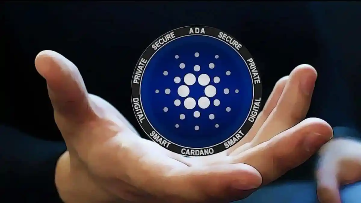 Cardano Footer Image