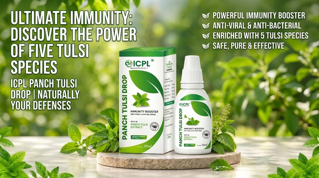ICPL Panch Tulsi Drops: 5 तरह की तुलसी के गुणों से भरपूर प्राकृतिक इम्युनिटी बूस्टर